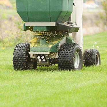 Haverland AG Innovations Field seeding