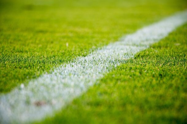 What is Verticutting & Do You Need It?