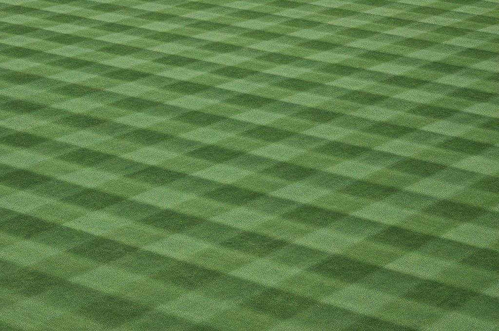 What Happens if My Field isn't Mowed Regularly?